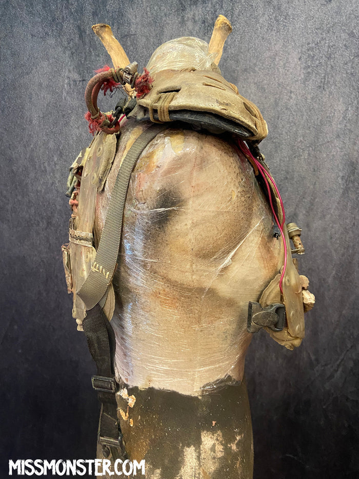 WASTELAND CHEST CARAPACE
