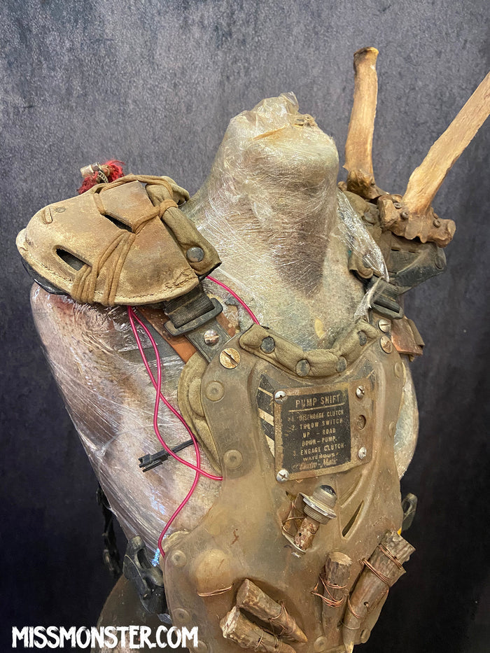 WASTELAND CHEST CARAPACE
