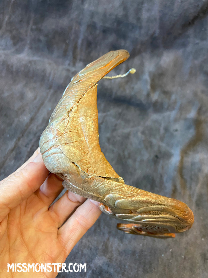 WASTELAND MANDIBLE